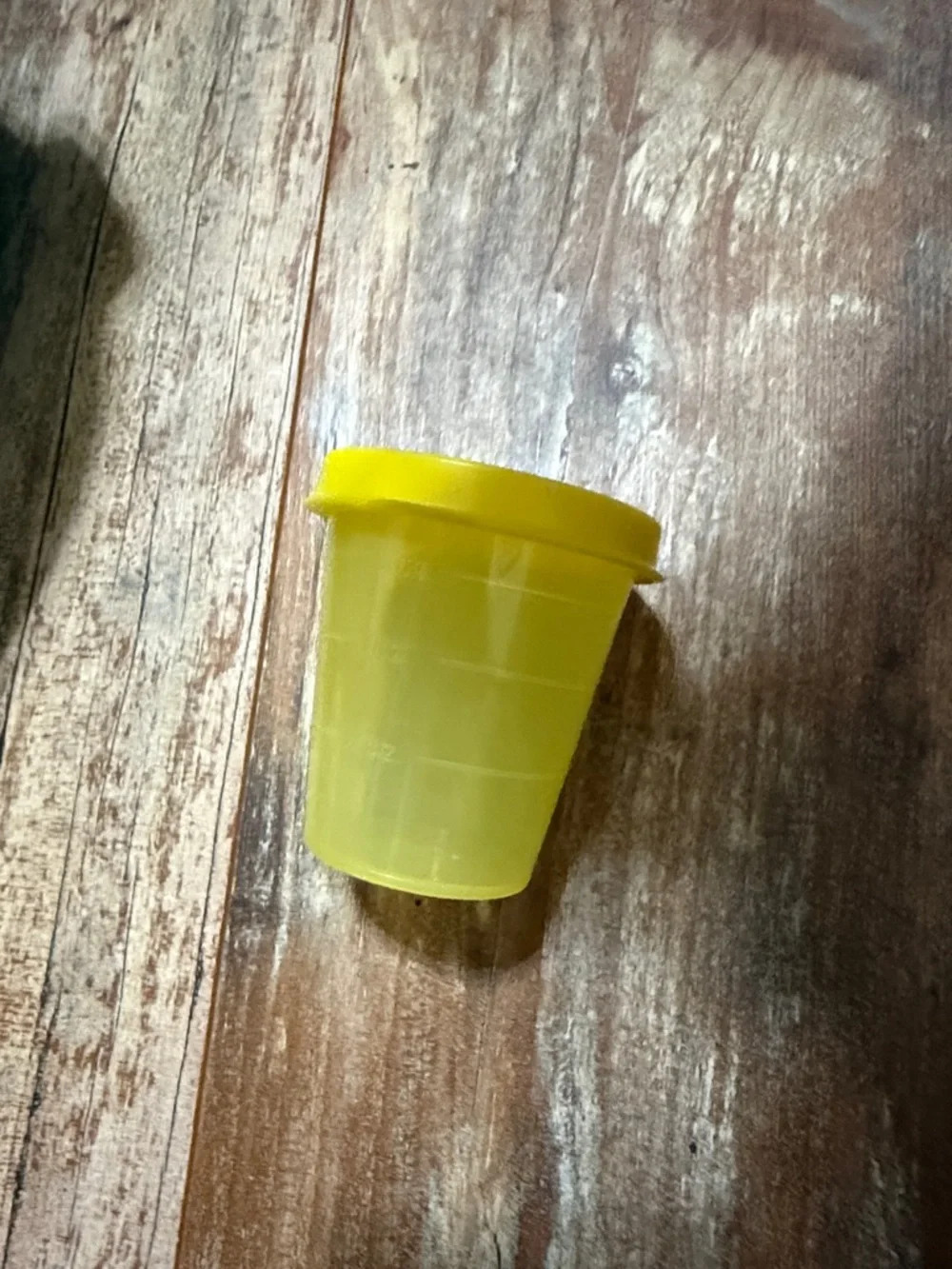 Tupperware go salad